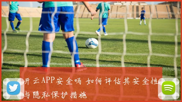 开云APP安全吗 如何评估其安全性与隐私保护措施