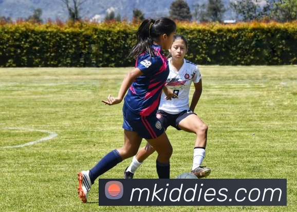 开云APP 高清赛事图